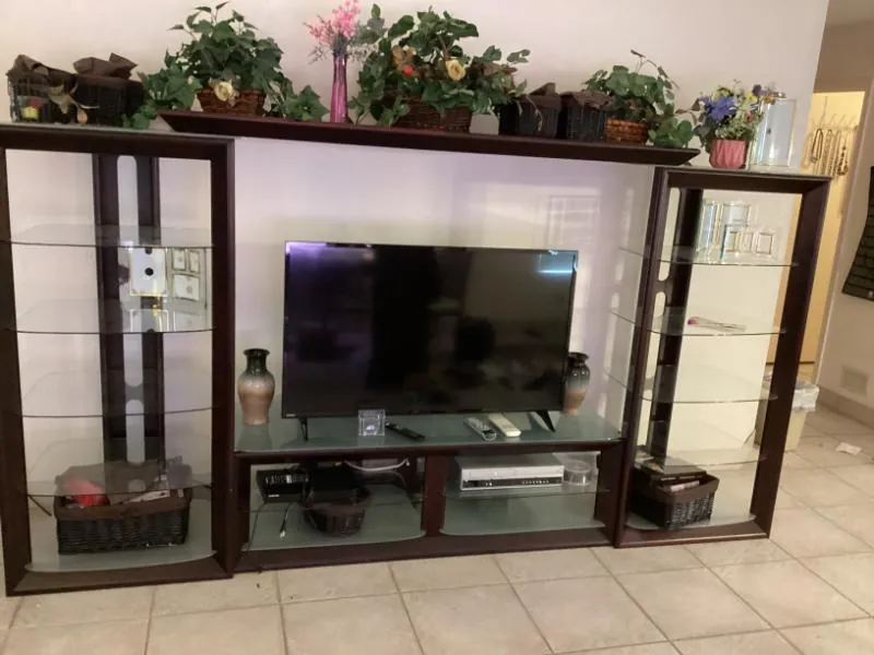 Wall unit with a TV and potted plants