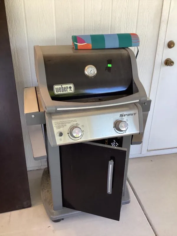 Stainless gas grill