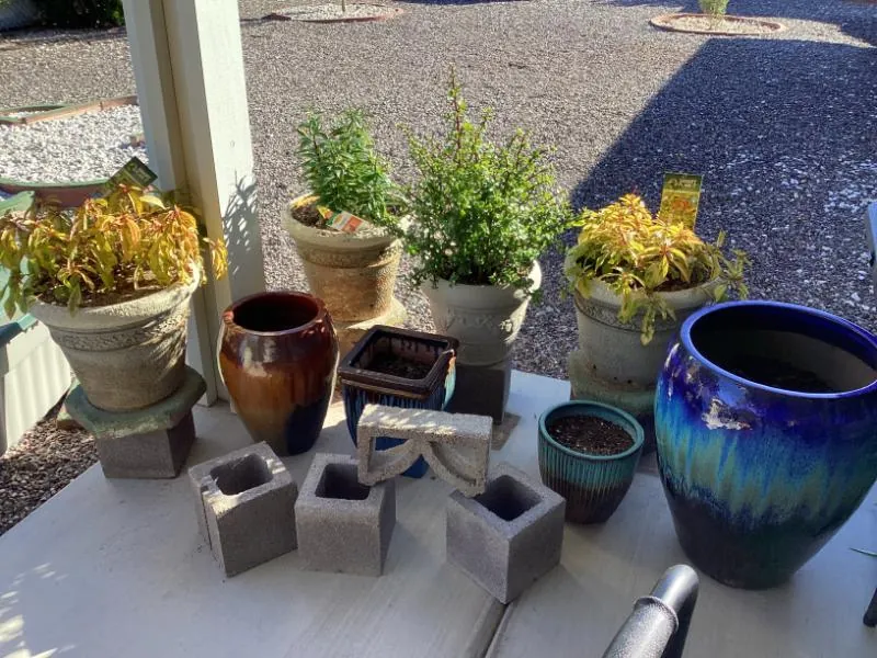 Potted plants and blue glazed pots