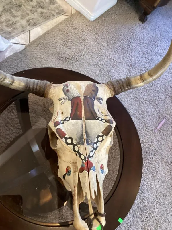 Painted steer skull decor