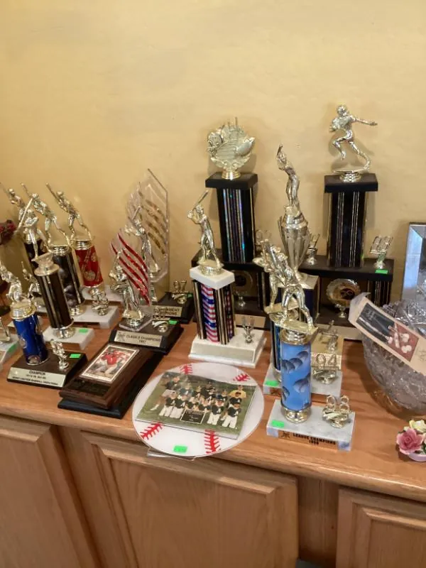 Collection of trophies on a counter