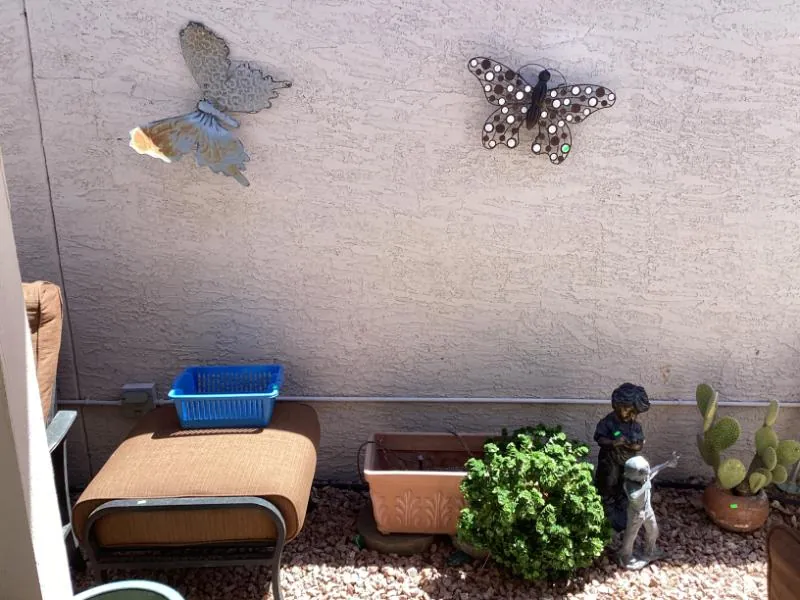 Metal butterfly wall art on a stucco wall
