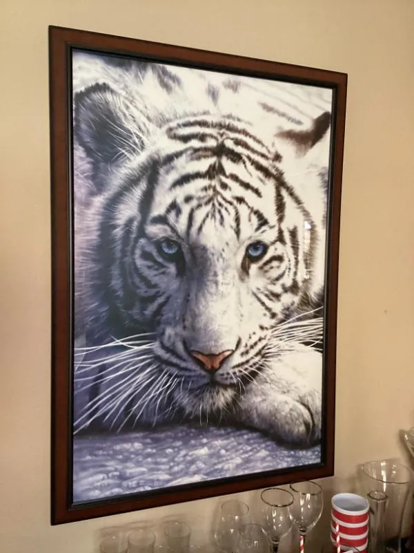 Framed artwork of a white tiger